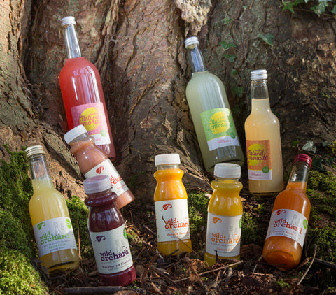 Packaging Sustainability of Wild Orchard Natural Beverages